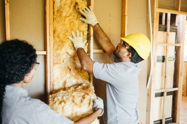 Best Attic Insulation Installation  in Valinda, CA