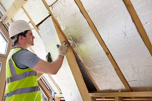 Best Insulation Removal  in Valinda, CA